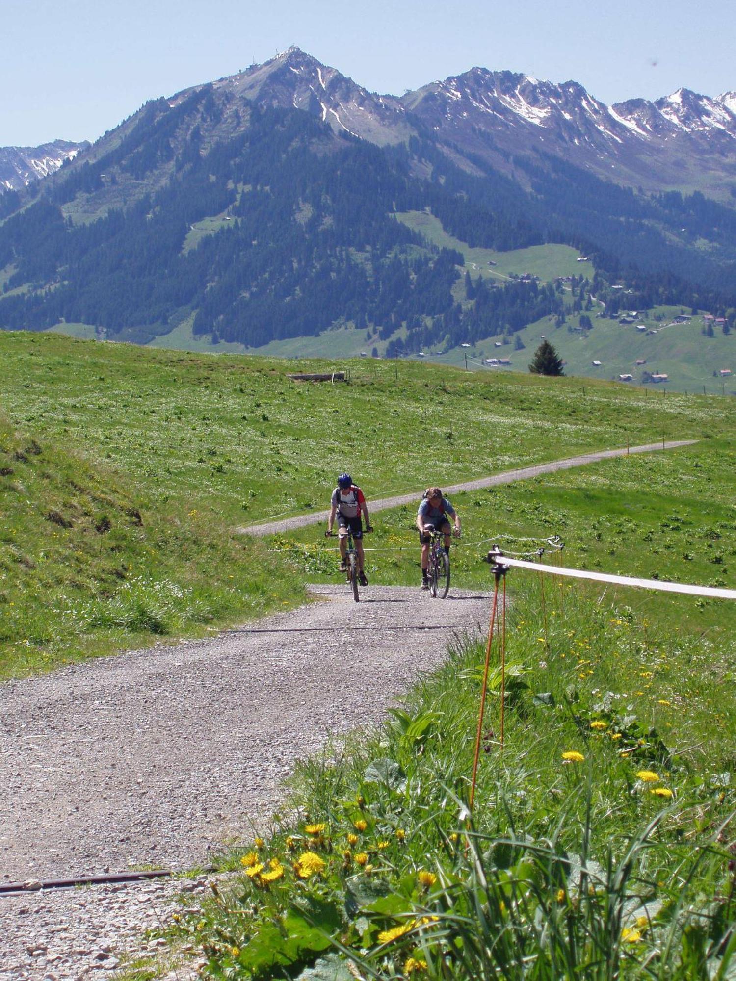 Gaestehaus Zur Faerbe Apartments Oberstdorf Eksteriør billede